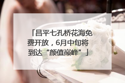 昌平七孔桥花海免费开放，6月中旬将到达“颜值巅峰”