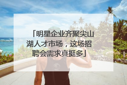 明星企业齐聚尖山湖人才市场，这场招聘会需求真挺多