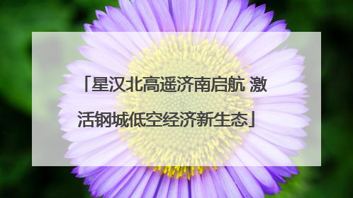 星汉北高遥济南启航 激活钢城低空经济新生态