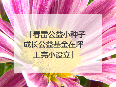 春雷公益小种子成长公益基金在坪上完小设立