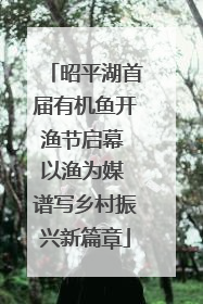 昭平湖首届有机鱼开渔节启幕 以渔为媒 谱写乡村振兴新篇章