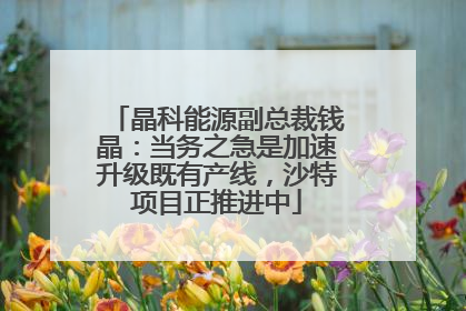 晶科能源副总裁钱晶：当务之急是加速升级既有产线，沙特项目正推进中