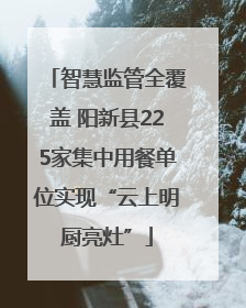 智慧监管全覆盖 阳新县225家集中用餐单位实现“云上明厨亮灶”