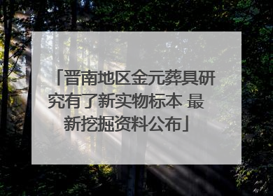 晋南地区金元葬具研究有了新实物标本 最新挖掘资料公布