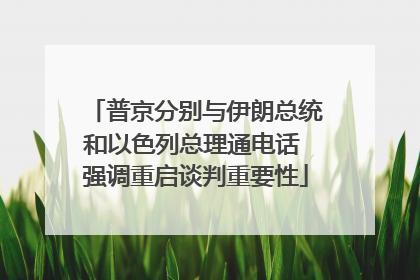 普京分别与伊朗总统和以色列总理通电话 强调重启谈判重要性