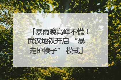 暴雨晚高峰不慌！武汉地铁开启 “暴走护犊子” 模式