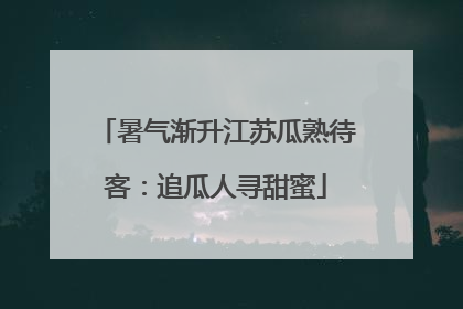 暑气渐升江苏瓜熟待客：追瓜人寻甜蜜