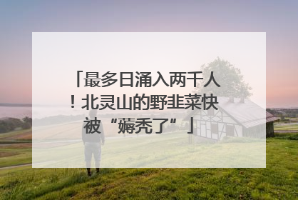 最多日涌入两千人！北灵山的野韭菜快被“薅秃了”