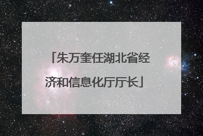 朱万奎任湖北省经济和信息化厅厅长