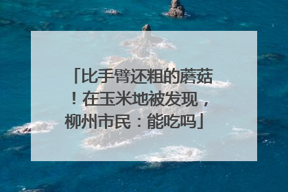 比手臂还粗的蘑菇！在玉米地被发现，柳州市民：能吃吗
