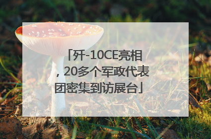 歼-10CE亮相，20多个军政代表团密集到访展台