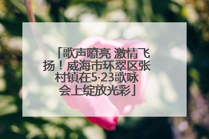 歌声嘹亮 激情飞扬！威海市环翠区张村镇在5·23歌咏会上绽放光彩