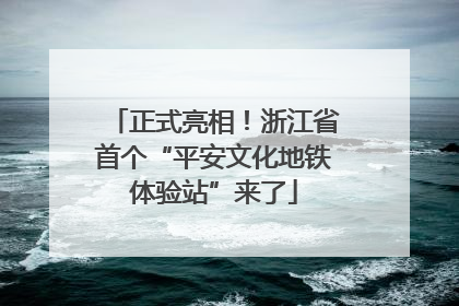 正式亮相！浙江省首个“平安文化地铁体验站”来了