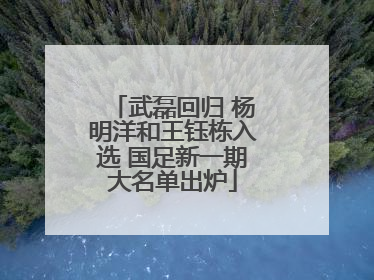 武磊回归 杨明洋和王钰栋入选 国足新一期大名单出炉