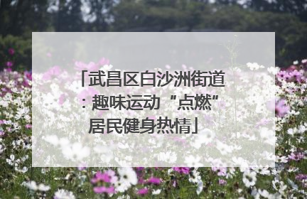 武昌区白沙洲街道：趣味运动“点燃”居民健身热情