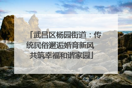 武昌区杨园街道：传统民俗邂逅婚育新风 共筑幸福和谐家园