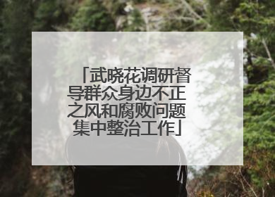 武晓花调研督导群众身边不正之风和腐败问题集中整治工作
