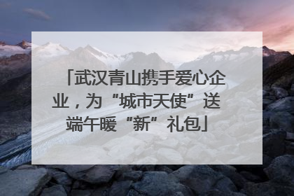 武汉青山携手爱心企业，为“城市天使”送端午暖“新”礼包