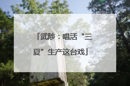 武陟：唱活“三夏”生产这台戏