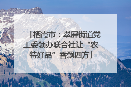 栖霞市：翠屏街道党工委领办联合社让“农特好品”香飘四方