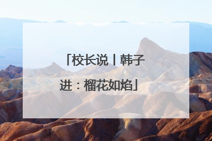 校长说丨韩子进：榴花如焰