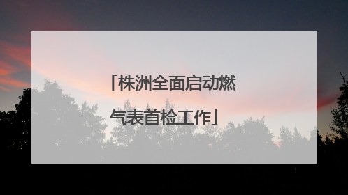 株洲全面启动燃气表首检工作