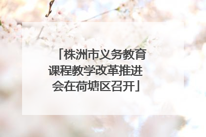 株洲市义务教育课程教学改革推进会在荷塘区召开