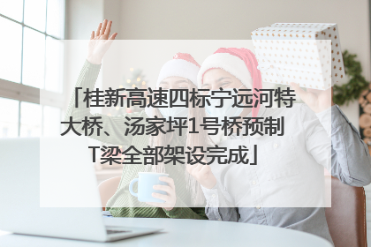 桂新高速四标宁远河特大桥、汤家坪1号桥预制T梁全部架设完成