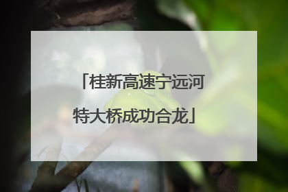 桂新高速宁远河特大桥成功合龙
