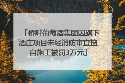 桥畔葡萄酒集团因旗下酒庄项目未经消防审查擅自施工被罚3万元