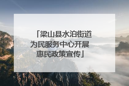 梁山县水泊街道为民服务中心开展惠民政策宣传