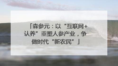 森参元：以“互联网+认养”重塑人参产业，争做时代“新农民”