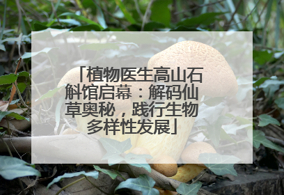 植物医生高山石斛馆启幕：解码仙草奥秘，践行生物多样性发展