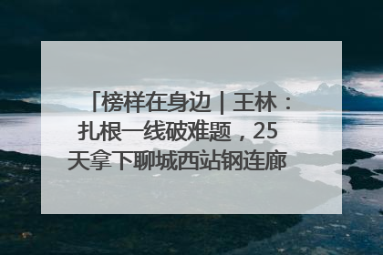 榜样在身边｜王林：扎根一线破难题，25天拿下聊城西站钢连廊“硬核”工程