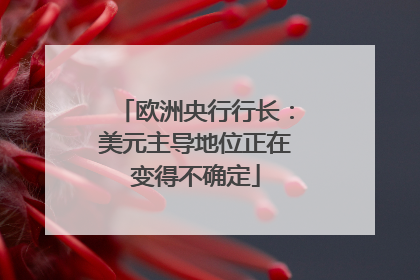 欧洲央行行长：美元主导地位正在变得不确定
