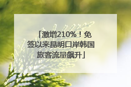 激增210%！免签以来昆明口岸韩国旅客流量飙升