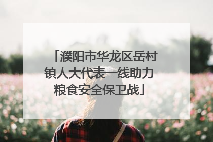濮阳市华龙区岳村镇人大代表一线助力粮食安全保卫战