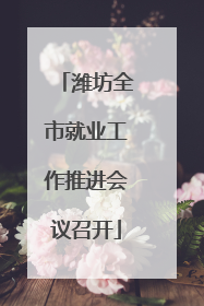 潍坊全市就业工作推进会议召开