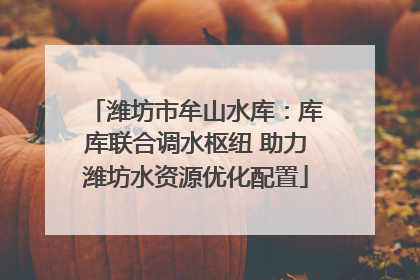 潍坊市牟山水库：库库联合调水枢纽 助力潍坊水资源优化配置