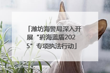 潍坊海警局深入开展“碧海蓝盾2025”专项执法行动