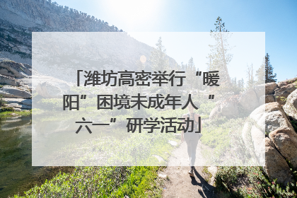 潍坊高密举行“暖阳”困境未成年人“六一”研学活动