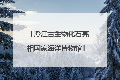 澄江古生物化石亮相国家海洋博物馆