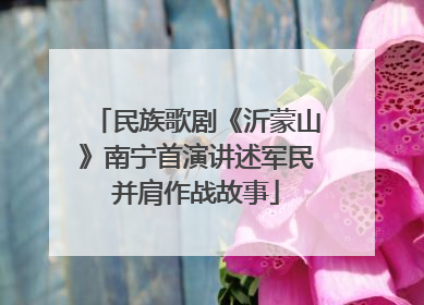 民族歌剧《沂蒙山》南宁首演讲述军民并肩作战故事