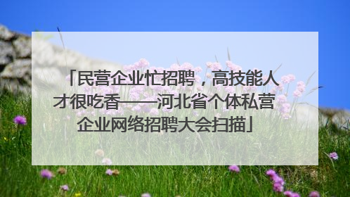 民营企业忙招聘，高技能人才很吃香——河北省个体私营企业网络招聘大会扫描
