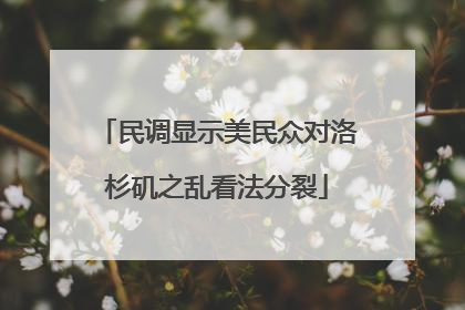 民调显示美民众对洛杉矶之乱看法分裂