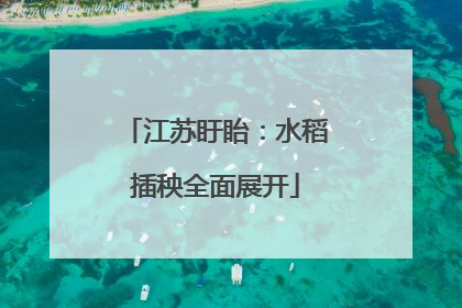 江苏盱眙：水稻插秧全面展开