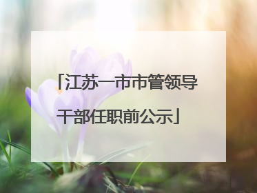 江苏一市市管领导干部任职前公示