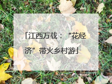 江西万载：“花经济”带火乡村游