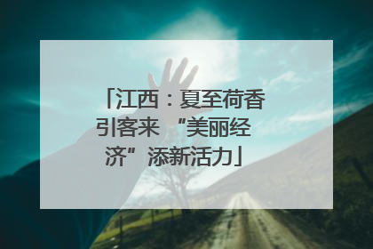 江西：夏至荷香引客来 “美丽经济”添新活力