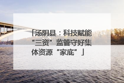 汤阴县：科技赋能“三资”监管守好集体资源“家底”